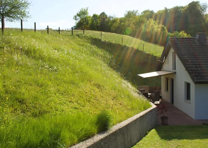 Steins Semesterbostad Sinspelt